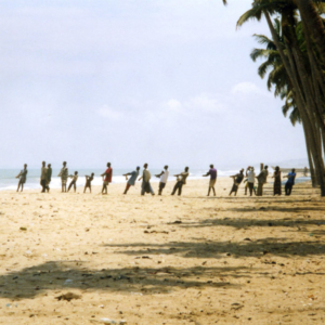 Fishermen pulling a drift net (Central Region, Ghana). (Photo: Boris Nieswand)