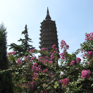 Pagoda at the Linji Temple in Zhengding, Hebei province, China. (Photo: Gareth Fisher)
