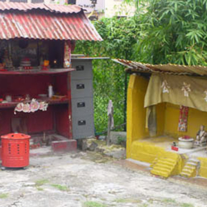 Chinese shrines in vacant lot, Singapore. (Photo: Steven Vertovec)