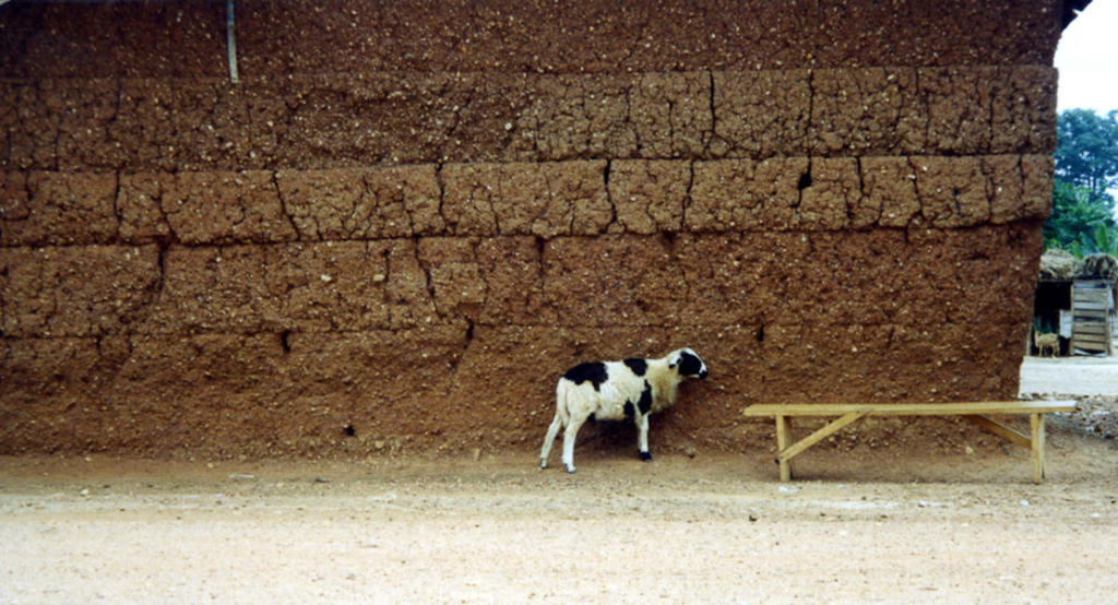Sheep in front of a weather beaten mud wall (Dormaa District, Ghana).  (Photo: Boris Nieswand)