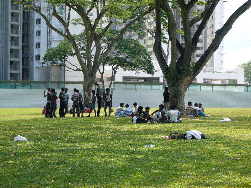 South Asian migrants on a Sunday afternoon, setting up a game of cricket and meeting up with friends on a rare patch of open field. In the background are government-built public housing (HDB) flats. (Photo: Laavanya Kathiravelu)