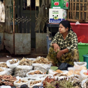 Selling dried fish. (Photo: Naomi Hellmann)