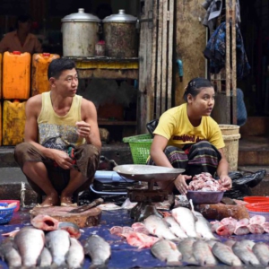 Two fish mongers selling fresh fish. (Photo: Naomi Hellmann)