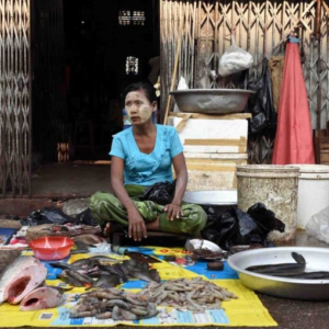 A fish monger waiting eagerly for customers. (Photo: Naomi Hellmann)
