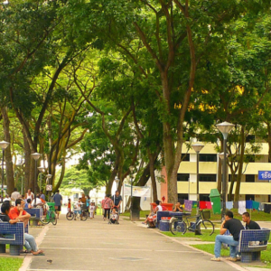 2pm along the public pathway in Boon Lay. The shade from the trees and a breeze make it comfortable for people to sit on the benches. (Photo: Junjia Ye)