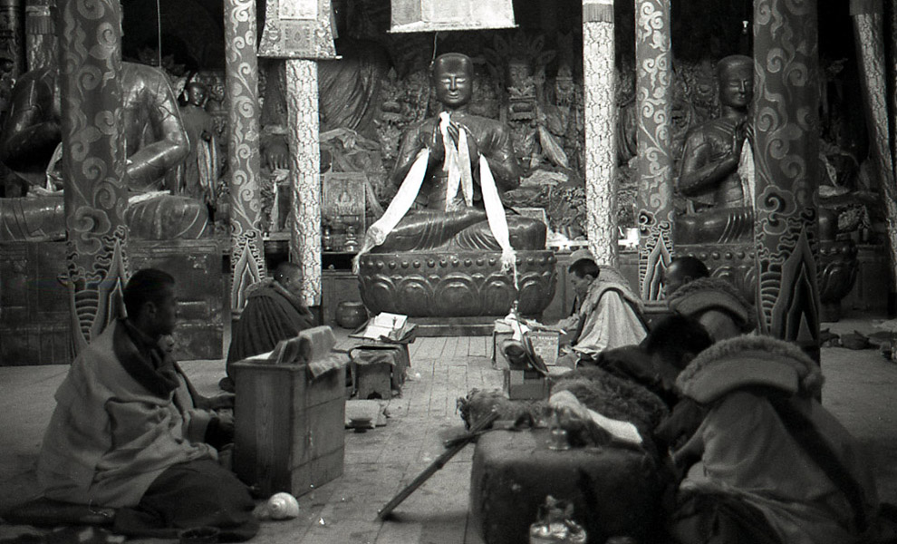 A sutra study session at a monastery, Golok, Qinghai Province. (Photo: Dan Smyer Yu)