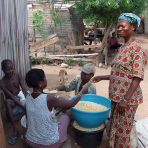 Deaf people giving each other a hand when processing corn. (Photo: Annelies Kusters)