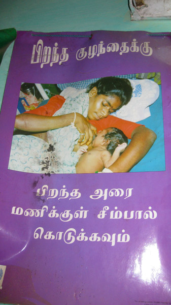 Educational Posters for Maternal Health, Tamil Nadu 2009. (Photo: Gabriele Alex)