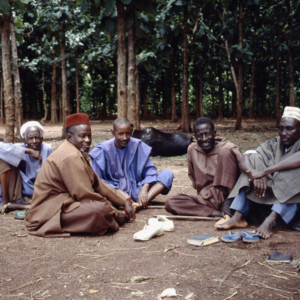 Fulani elders (Cattle Market, Korhogo, Côte d’Ivoire). (Photo: Boris Nieswand)