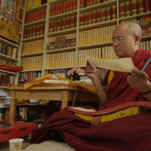 Khenpo Sodargye reads a sutra in his study at Larung Gar Buddhist Academy, summer 2013. (Photo: Dan Smyer Yu)