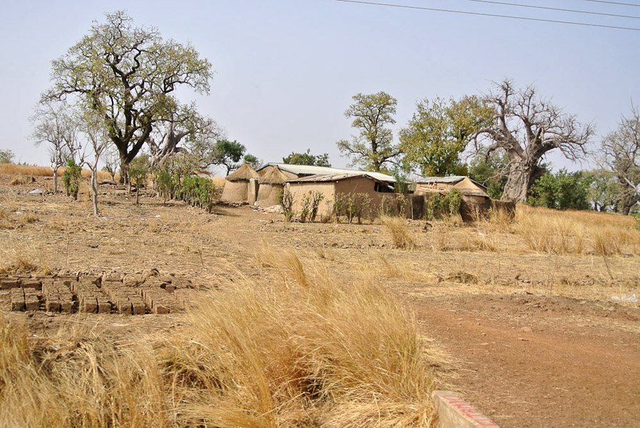 Dry savannah landscape, Upper East Region, Ghana. (Photo: Elena Gadjanova)