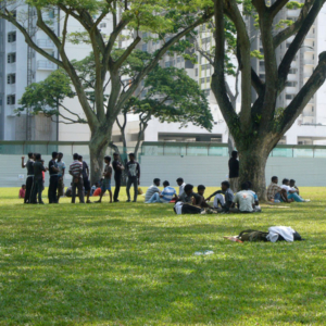 South Asian migrants on a Sunday afternoon, setting up a game of cricket and meeting up with friends on a rare patch of open field. In the background are government-built public housing (HDB) flats. (Photo: Laavanya Kathiravelu)