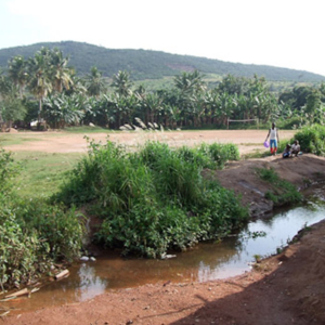 The river that is said to have caused the deafness in Adamorobe. (Photo: Annelies Kusters)