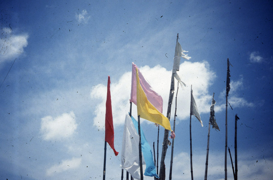 Jhandi (ritual flags makring puja offerings). (Photo: Steven Vertovec)