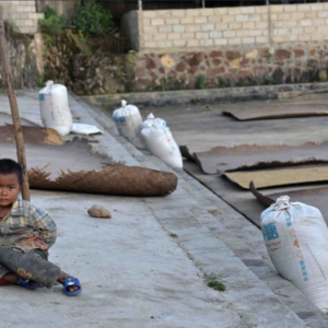 A young boy sits on the concrete pavement in the public square in central Xuelin. In the background, rice, millet, and other grain are spread out to dry on stiff, flat, handwoven straw mats and filled into large, plastic storage sacks for processing and handling. (Photo: Naomi Hellmann)