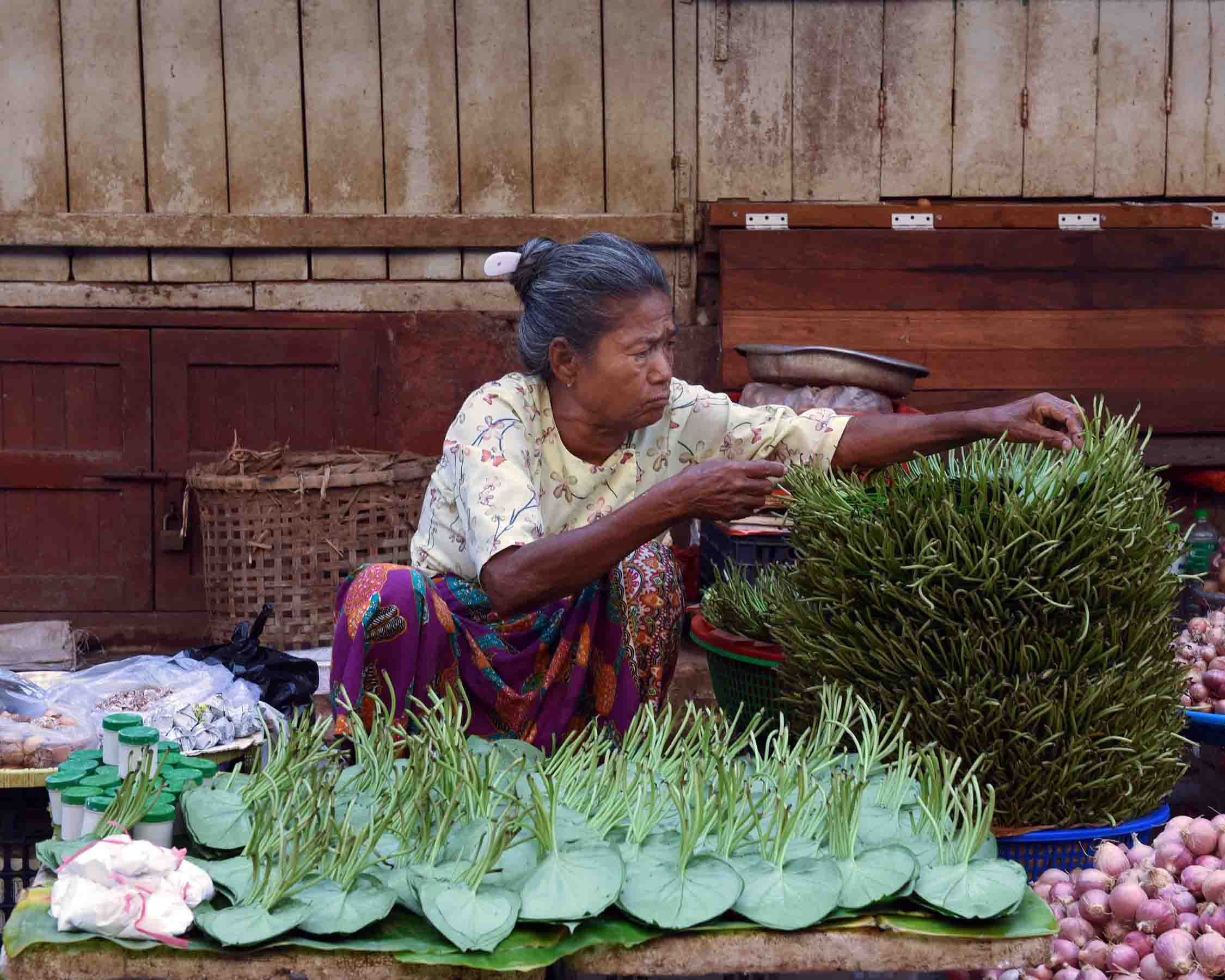 Orderly bundles of betel leaves, a versatile medicinal plant used to reduce heat in the body and fight ailments like colds, coughs, or excess swelling. Leaves can be boiled like with ginger and jaggery or used like a compress. (Photo: Naomi Hellmann)